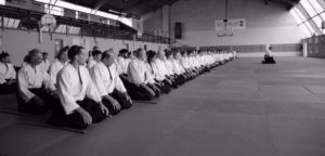 Stage aikido